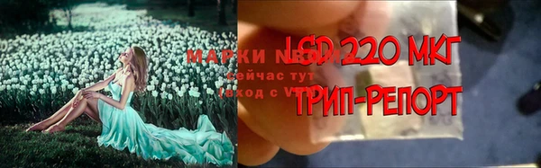 гашик Верея