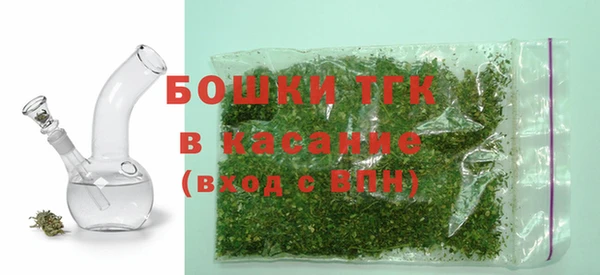 гашик Верея
