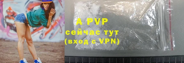 гашик Верея
