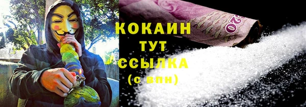 гашик Верея