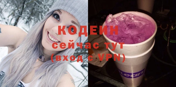 гашик Верея