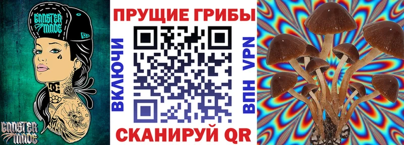где найти   Новоржев  Псилоцибиновые грибы ЛСД 